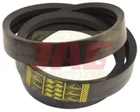  0227218 Pas zespolony GATES AGRI H205209.26