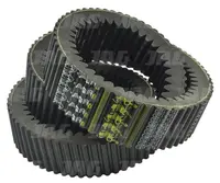  0251265 Pas wariatorowy GATES AGRI H137670.26