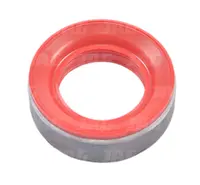  041209-L Uszczelniacz SKT 98.041209-L