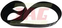  100X03700 Pas płaski AGROBELTS P100X3700