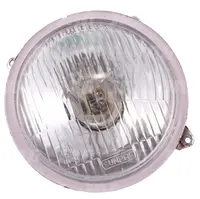  1672769M91 Lampa przód lewa (z żarówką) 181-3.01