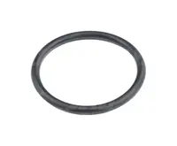  18.77x1.78 Oring 18.77X1.78-ORS