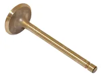  1884123M1 Zawór ssący 42-2