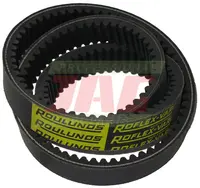  22X01000 Pas wariatorowy ROULUNDS ROFLEX 22X1000R-R