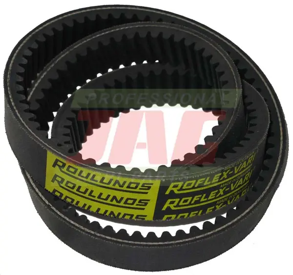 22X01000 Pas wariatorowy ROULUNDS ROFLEX 22X1000R-R