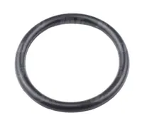  23.47x2.62 Oring 23.47X2.62-ORS