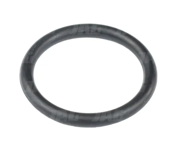 24x3 Oring 24X3-ORS
