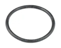  25x2 Oring 25X2-ORS