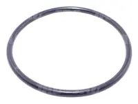  3019927X1 O-ring 6341-1.01