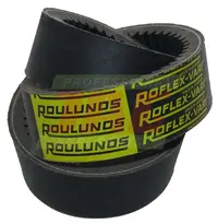  32X00813 Pas wariatorowy ROULUNDS ROFLEX-VARI 433 32X0813W-R