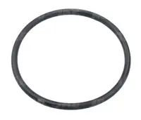  32x2 Oring 32X2-ORS
