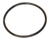  656306 Oring Oryginał CLAAS 656306CK
