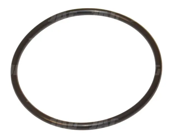 656306 Oring Oryginał CLAAS 656306CK