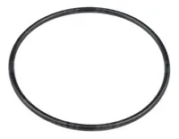  75x3 Oring 75X3-ORS