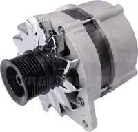  Alternator 12V, 120A 87311822.01