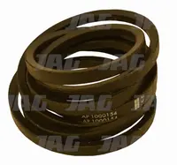  AP1000154 Pas Optibelt Agro Power 821734.02