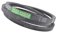  AP1000256 Pas klinowy OPTIBELT AGRO POWER 84073457.01