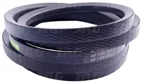  AP1000326 Pas klinowy OPTIBELT AGRO POWER 744785.01