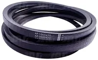  AP1000420 Pas Optibelt Agro Power 644447.03