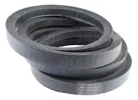  AP1000901 Pas Optibelt Agro Power 506880.01