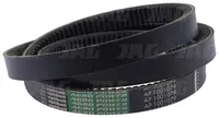  AP1001079 Pas wariatorowy OPTIBELT AGRO POWER 667457.01