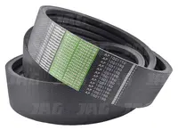  AP1001190 Pas Optibelt Agro Power Z61857.01
