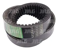  AP1001208 Pas wariatorowy OPTIBELT AGRO POWER 628630.01