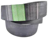  AP1001247 Pas Optibelt Agro Power 1001247.01