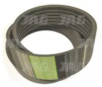  AP1001302 Pas Optibelt Agro Power 667452.01