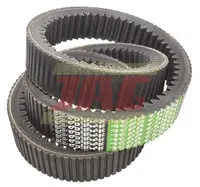  AP1001317 Pas Optibelt Agro Power 667248.01