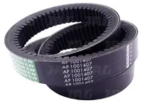  AP1001407 Pas wariatorowy OPTIBELT AGRO POWER 1001407.01