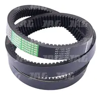  AP1001420 Pas wariatorowy OPTIBELT AGRO POWER 06215202.01