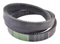 AP1001421 Pas wariatorowy OPTIBELT AGRO POWER 1001421.01