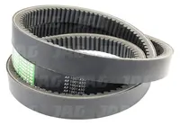  AP1001450 Pas wariatorowy OPTIBELT AGRO POWER 905920M1.01