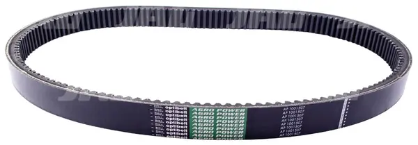 AP1001507 Pas Optibelt Agro Power Z20823.02
