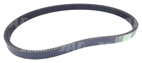 AP1001515 Pas Optibelt Agro Power 603317.02