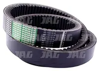  AP1001519 Pas wariatorowy OPTIBELT AGRO POWER 06215213.01