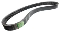  AP1001545 Pas wariatorowy OPTIBELT AGRO POWER 6219396M1