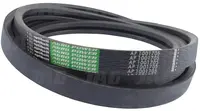  AP1001705 Pas Optibelt Agro Power 84076421.02