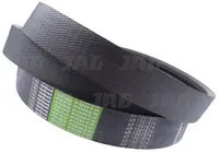  AP1001874 Pas Optibelt Agro Power D41990053.01
