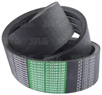  AP1001934 Pas Optibelt Agro Power 629001.02