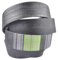  AP1001996 Pas Optibelt Agro Power 1001996.01