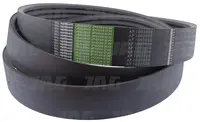  AP1002020 Pas Optibelt Agro Power 1002020.01
