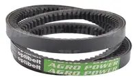  AP1002539 Pas klinowy OPTIBELT AGRO POWER 1002539.01