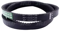  AP1002736 Pas Optibelt Agro Power 4452440.01