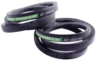 AP1002745 Pas klinowy OPTIBELT AGRO POWER (2szt.) 549752.01