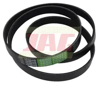  AP1003202 Pas Optibelt Agro Power 743910.01