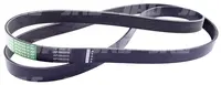  AP1003215 Pas Optibelt Agro Power 796475.01