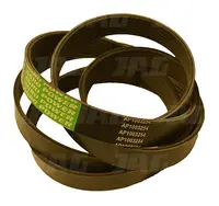  AP1003254 Pas Optibelt Agro Power 660382.01