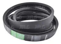  AP1003347 Pas Optibelt Agro Power D41979600.03